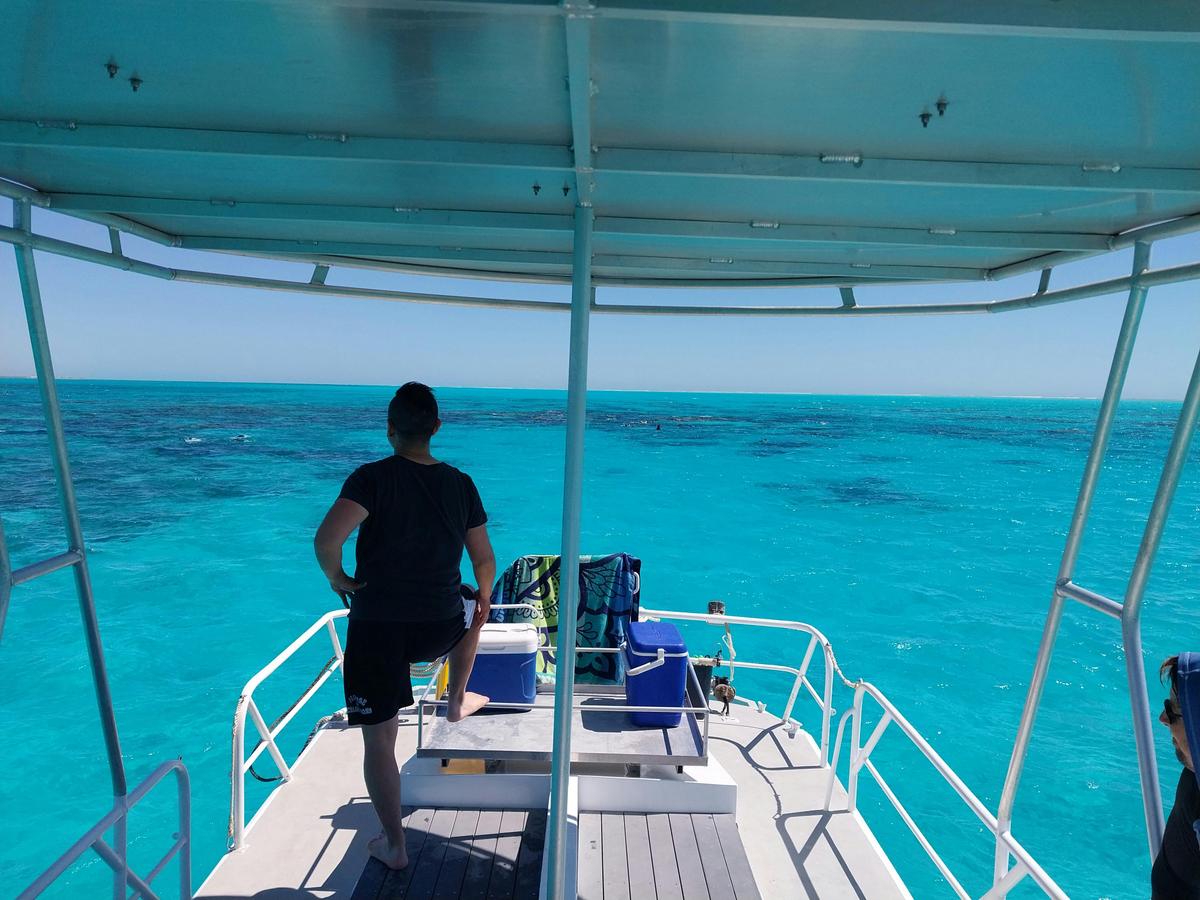 Ningaloo Reef Tours