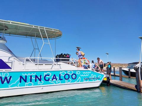 2 Hour Coral Viewing and Snorkelling