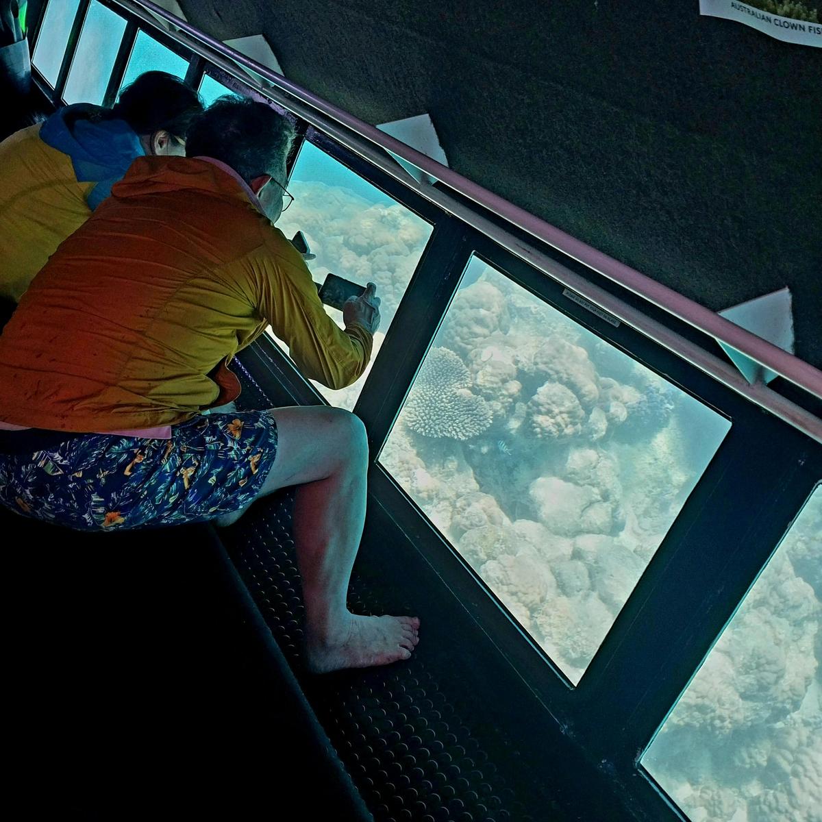 Underwater viewing