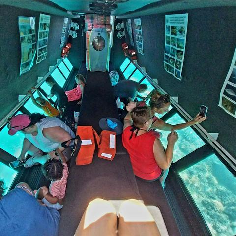 1 Hour Coral Viewing