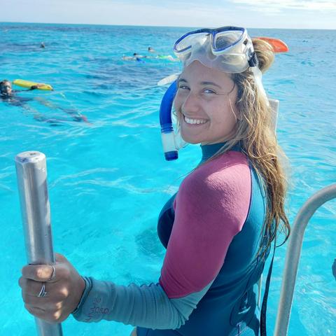 Half Day Snorkelling and Coral Viewing Tour