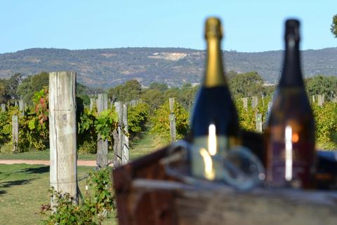 Ugly Duckling Wines