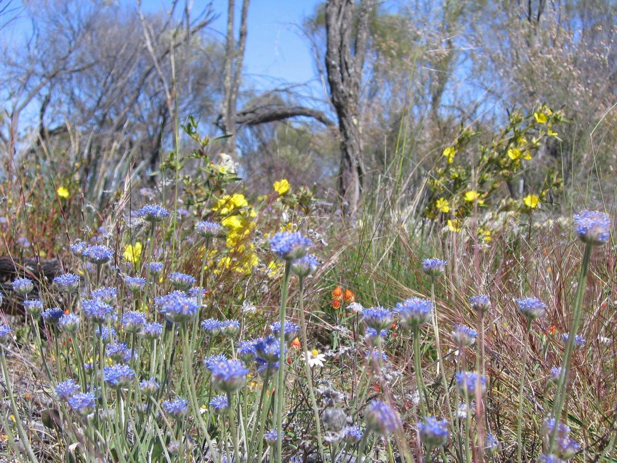 Totadgin Conservation Park