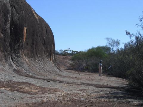 Totadgin Conservation Park