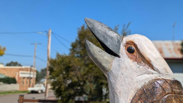 The Kookaburra at Memorial Park, Denman