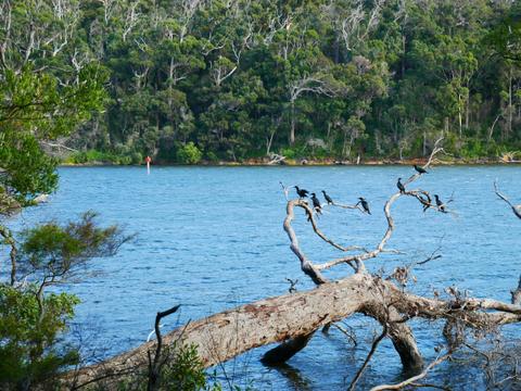 Walpole and Nornalup Inlets Marine Park