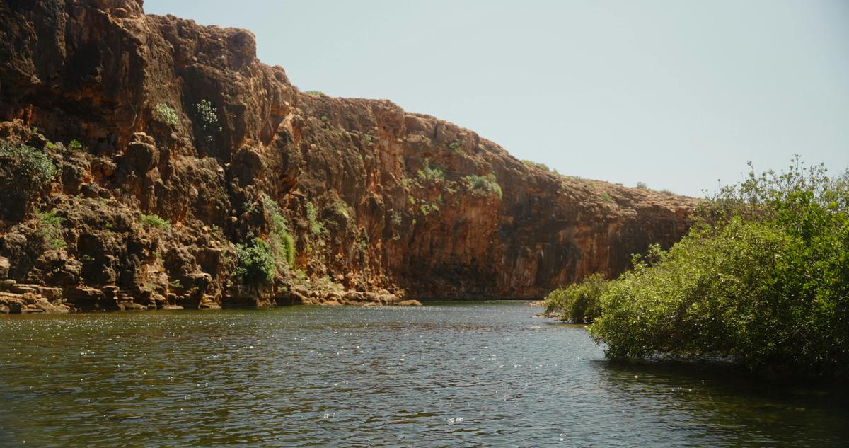 Yardie Creek Boat Tours