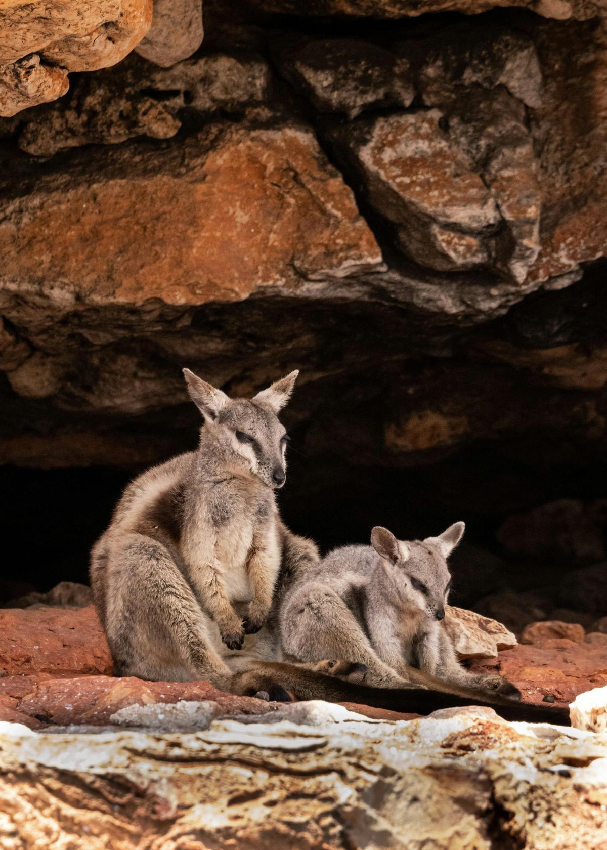 Yardie Creek Boat Tours