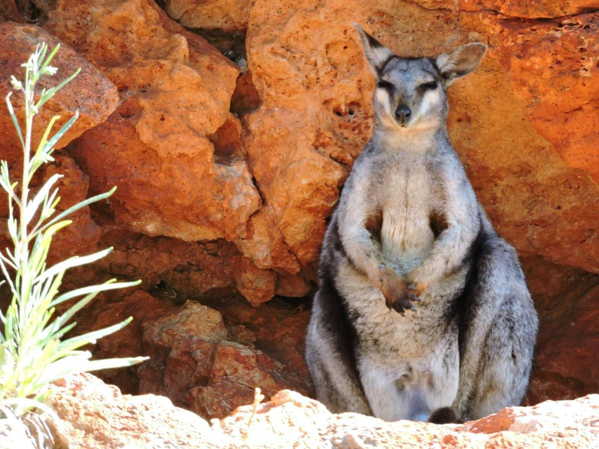 Yardie Creek Boat Tours