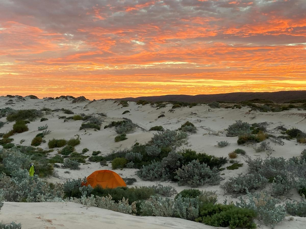 Camp along the World Heritage listed Ningaloo Coast