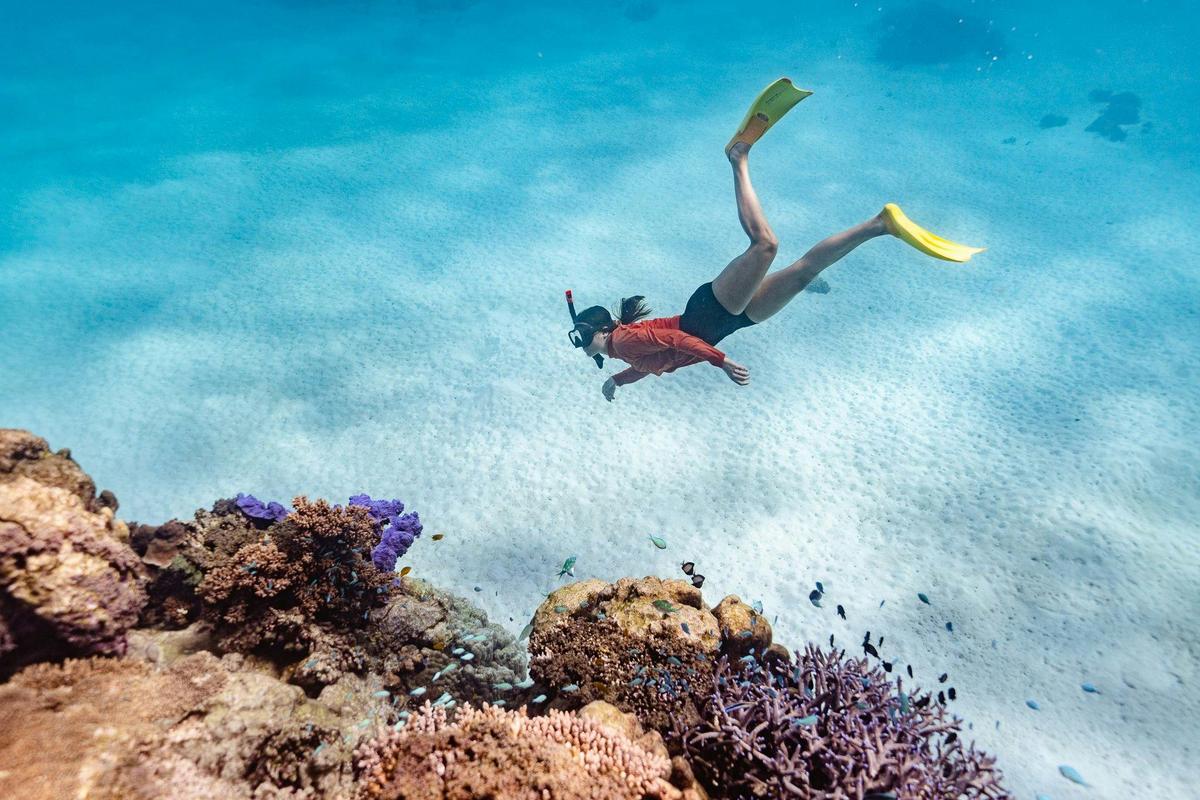 Ningaloo Odyssey: 4-Day Trek and Kayak Expedition