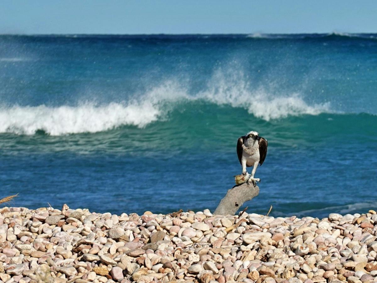 Ningaloo Private Wilderness Charter