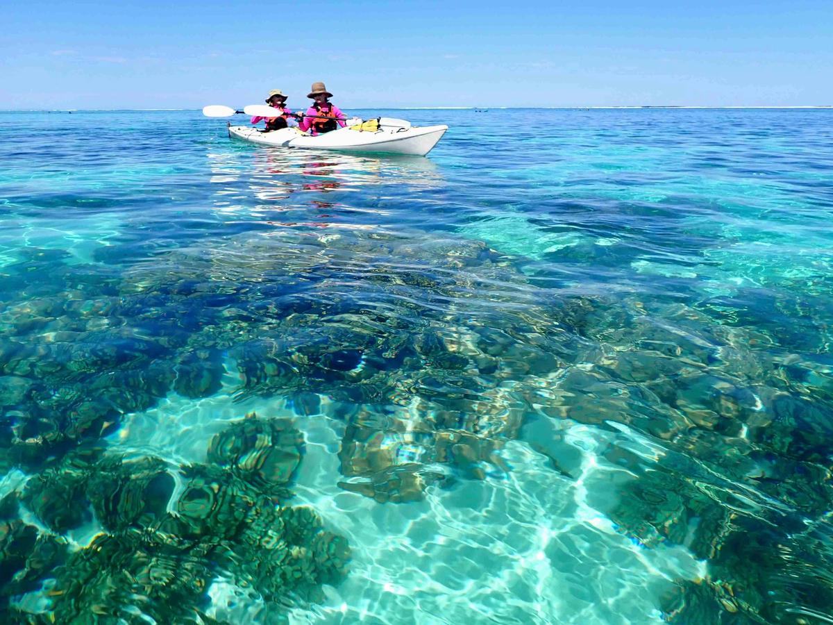Ningaloo Odyssey: 4-Day Trek and Kayak Expedition