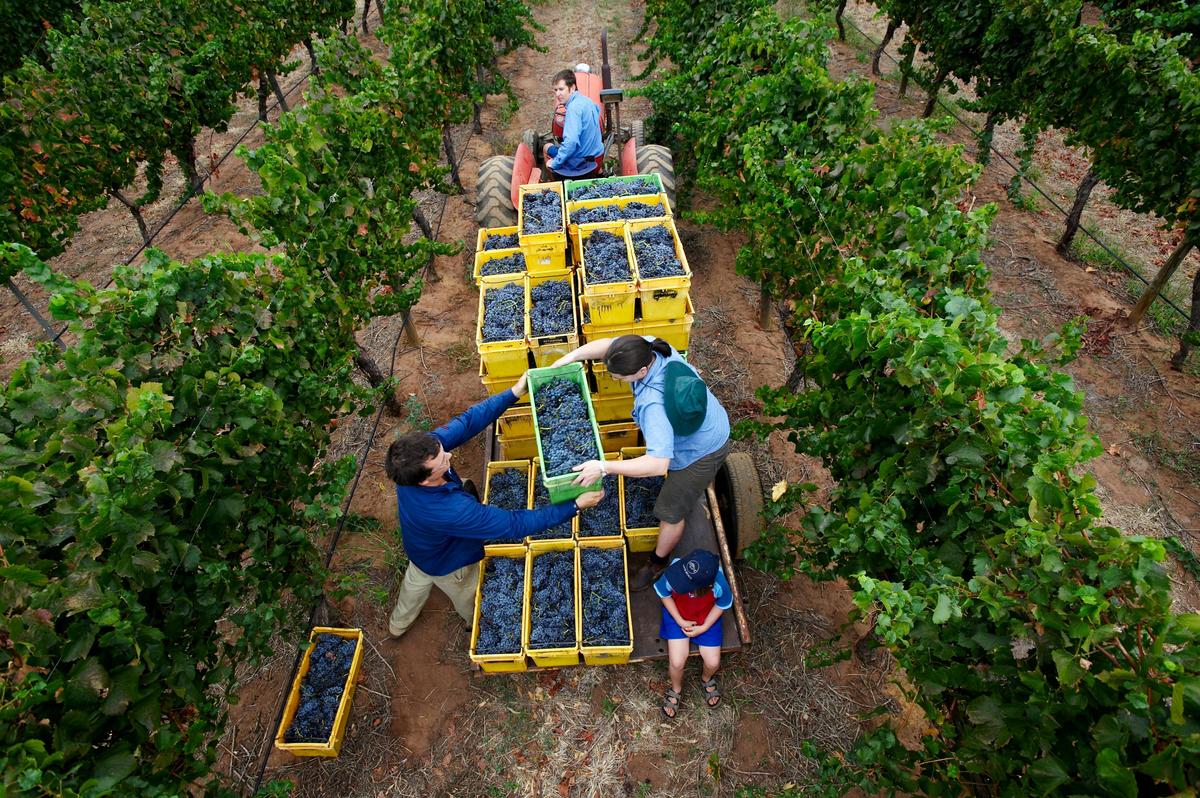 Family owned winery