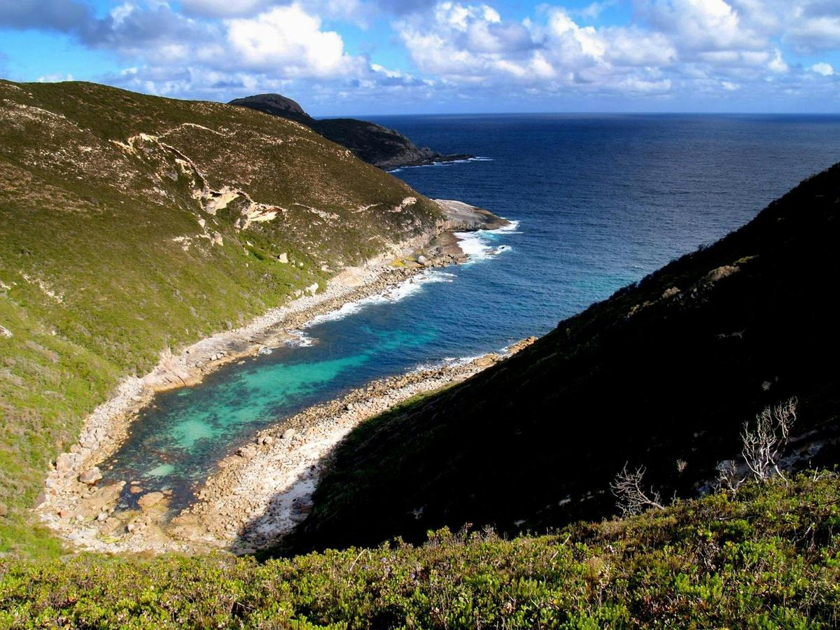 Jimmy Newells Lookout