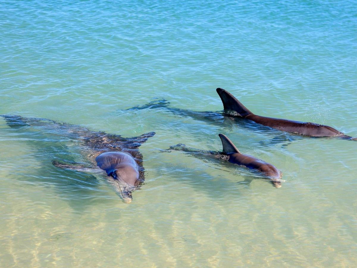 Western Australia West Coast Discovery