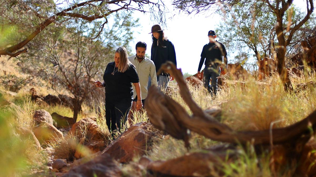 Walk amongst the prehistoric landscapes of Mundatharrda (Kennedy Ranges).