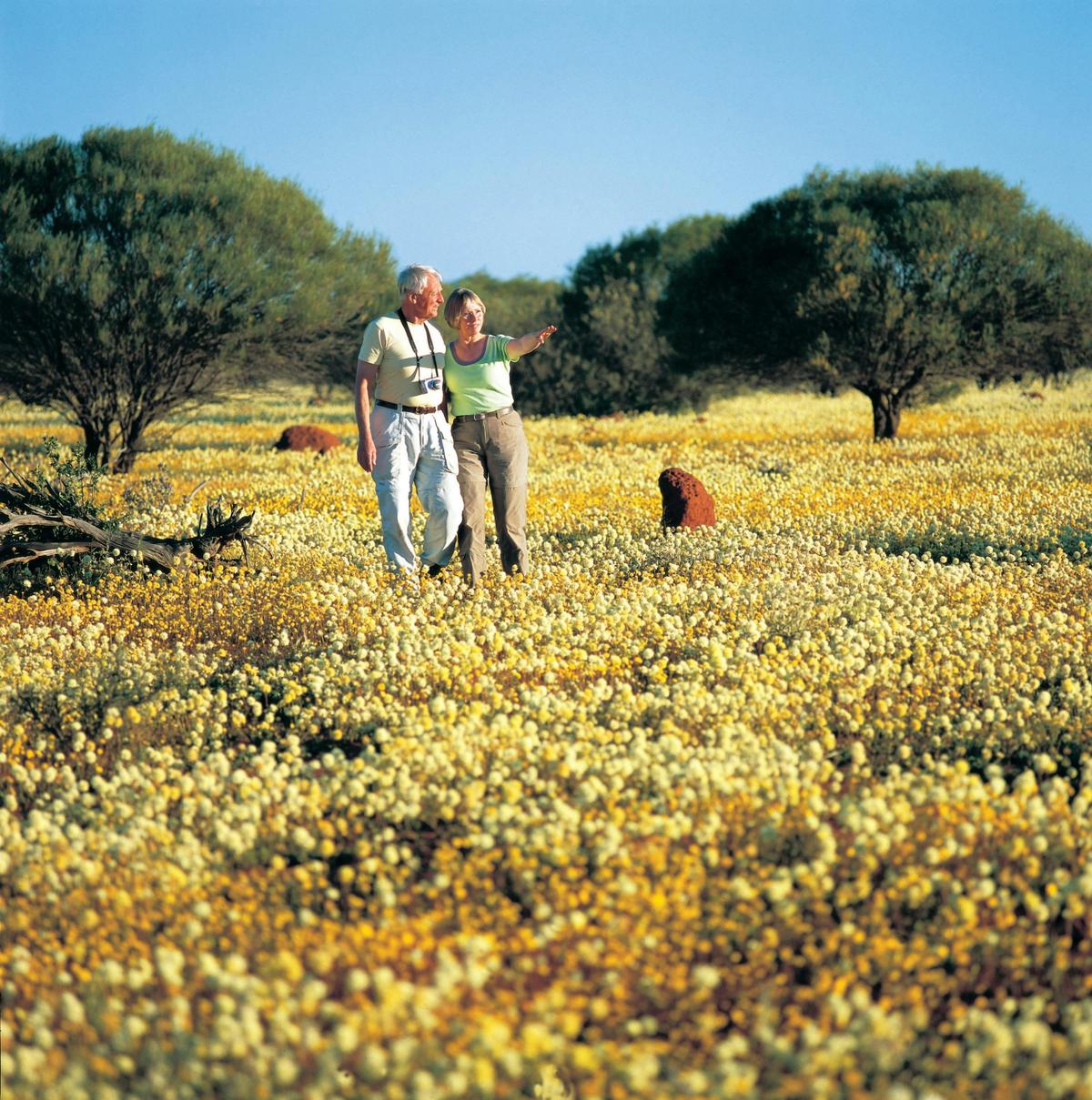 West Coast Wildflower Explorer