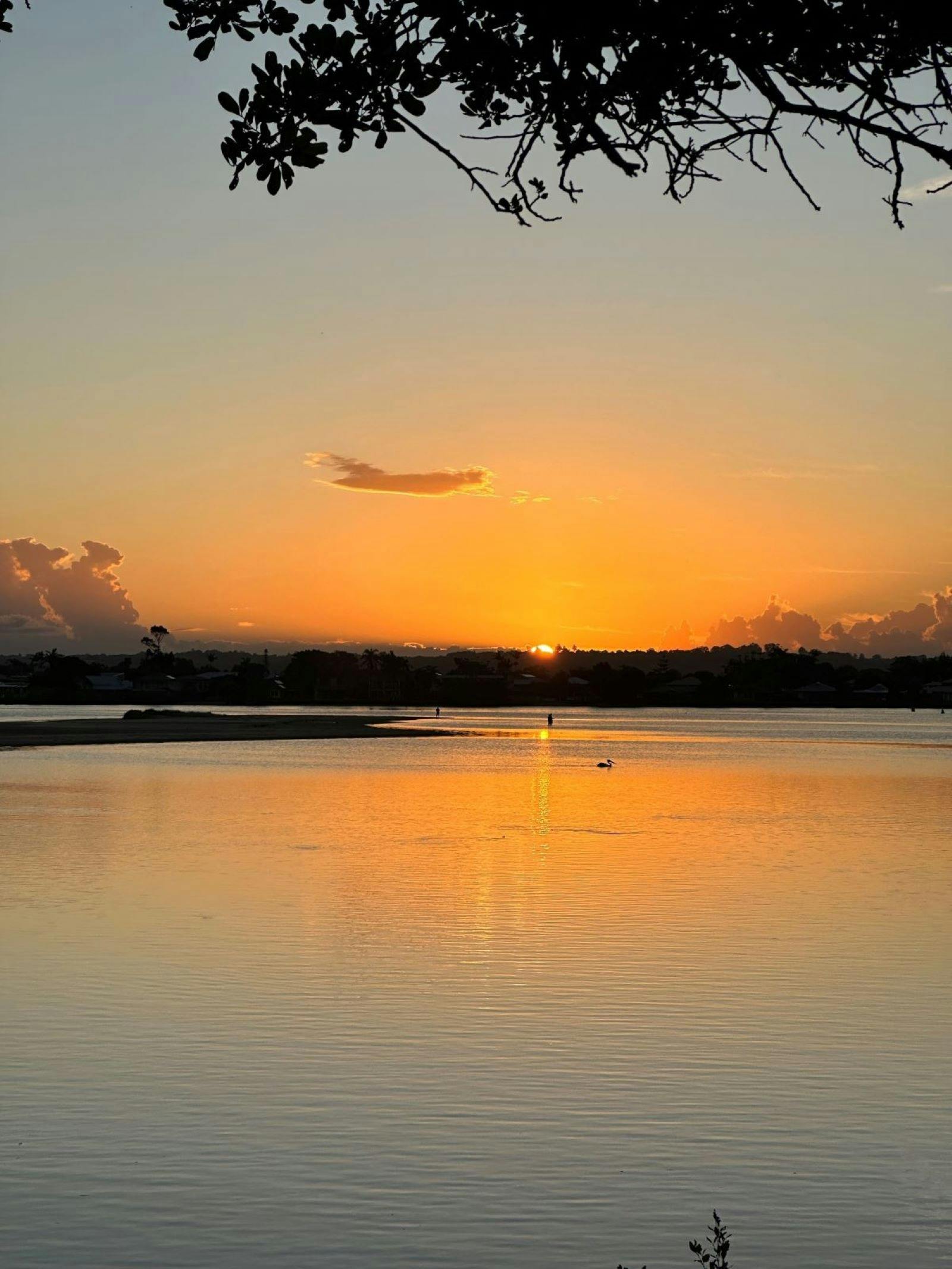 Serpentine Sunset