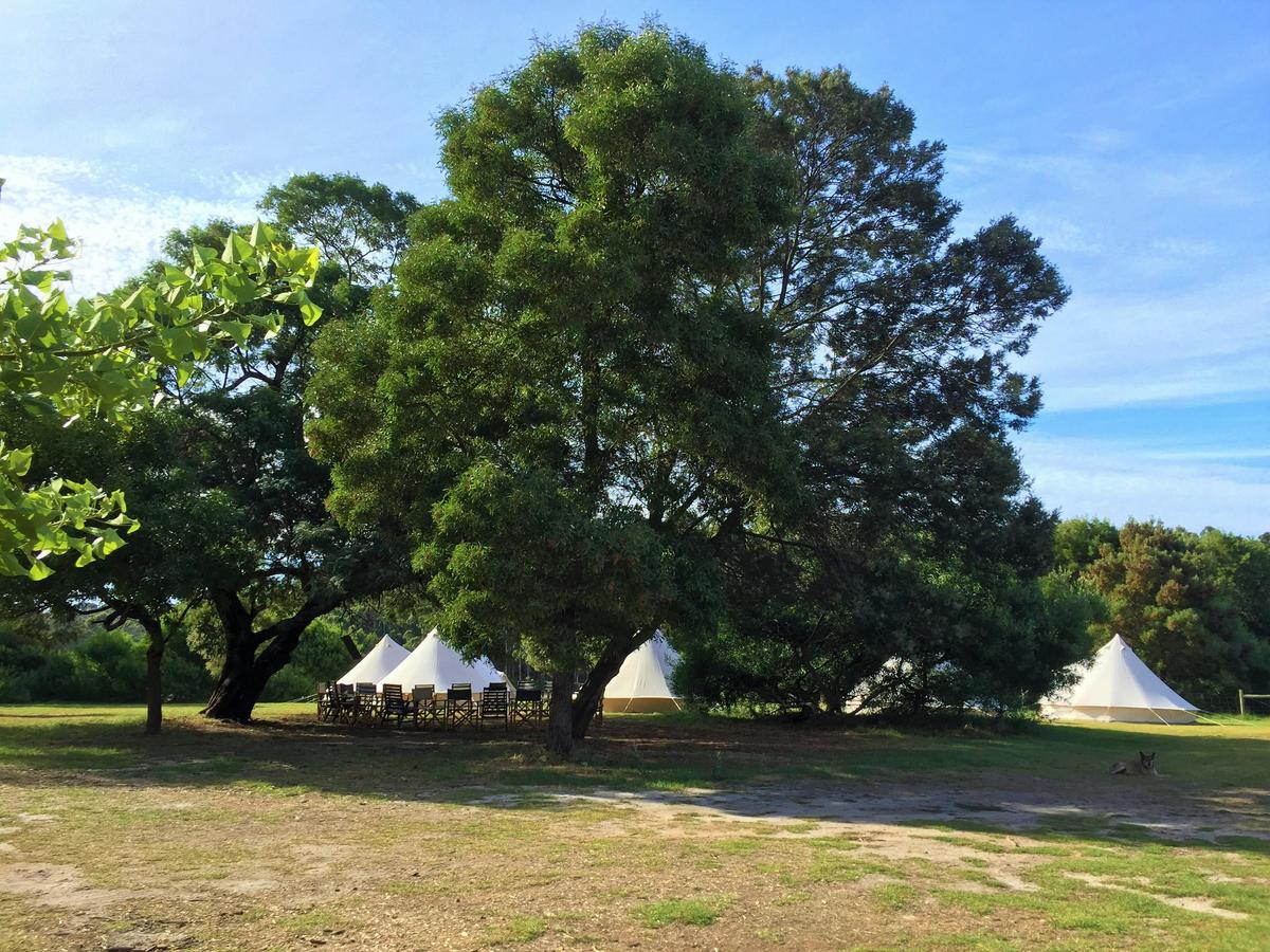 3 Day Margaret River Yoga Retreat from Perth