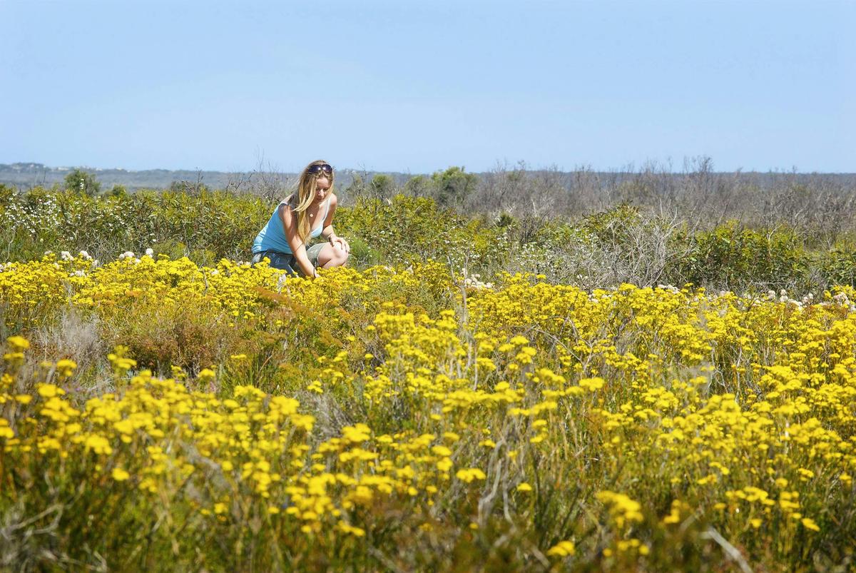 6 Day Esperance and Margaret River Adventure Tour