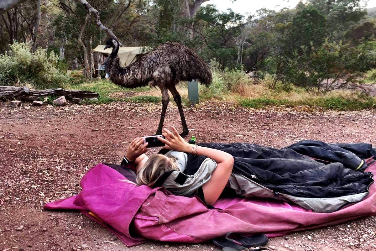 6 Day Esperance and Margaret River Adventure Tour