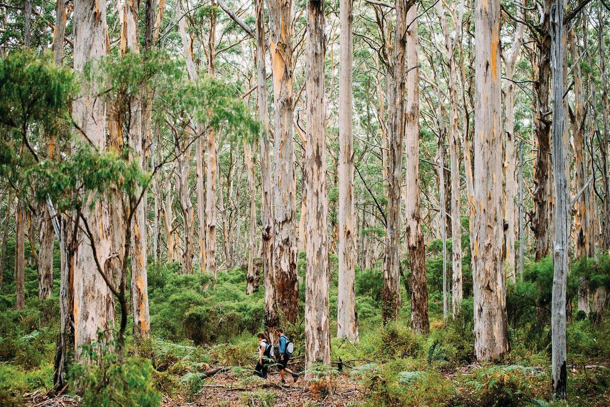 10 Day Perth to Adelaide Private Tour - The Great Australian Wilderness Journey