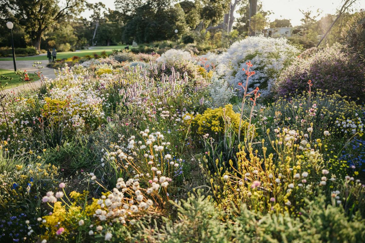 Kings Park