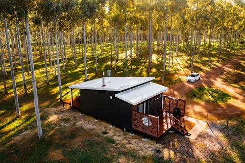 Tree Chalets