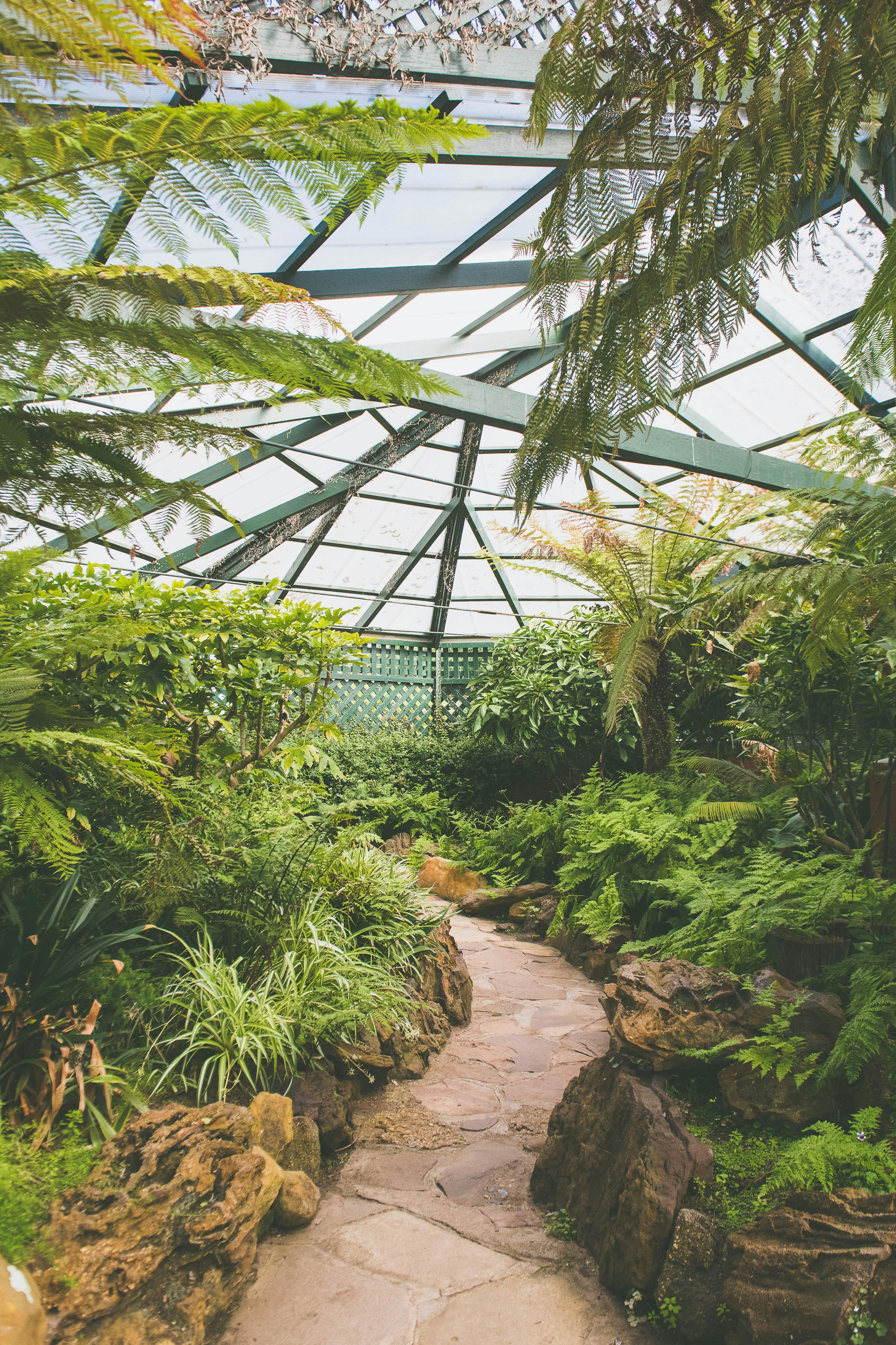 Bathurst Regional Council Fernery - Machattie park
