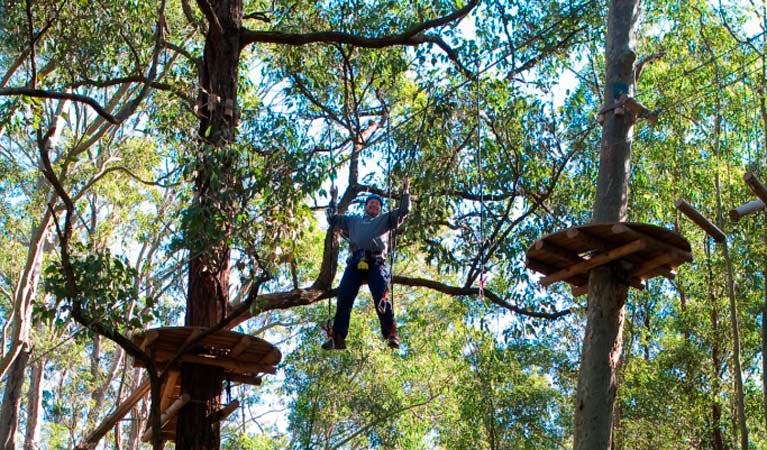 Tree Top adventure park, Blue Gum Hills Regional Park. Photo: John Yurasek