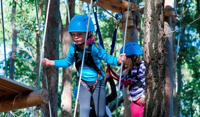 TreeTop Adventure Park
