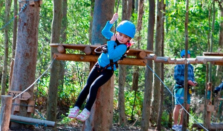 TreeTop adventure park, Blue Gum Hills Regional Park. Photo: David Benson