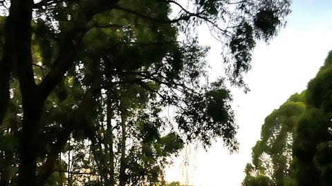 Valley Views