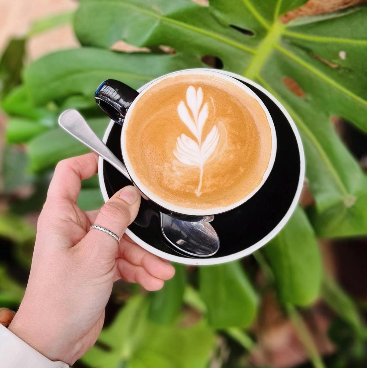 Coffee
