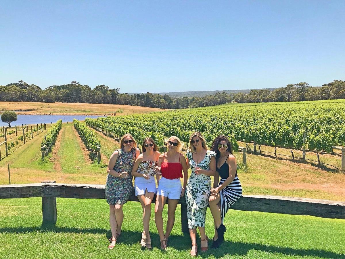Wine for Dudes Wine Tours Margaret River at Windance Estate Yallingup in Summer