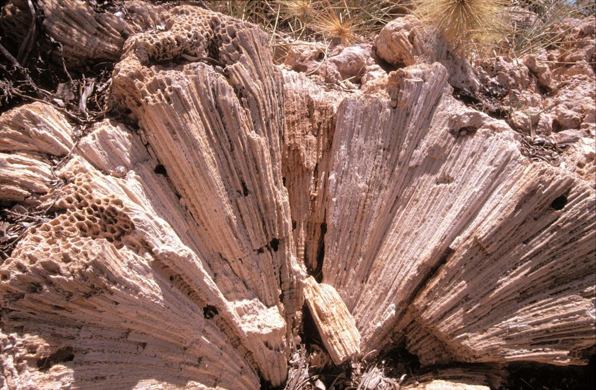 Yardie Creek, Cape Range National Park, Exmouth, Western Australia