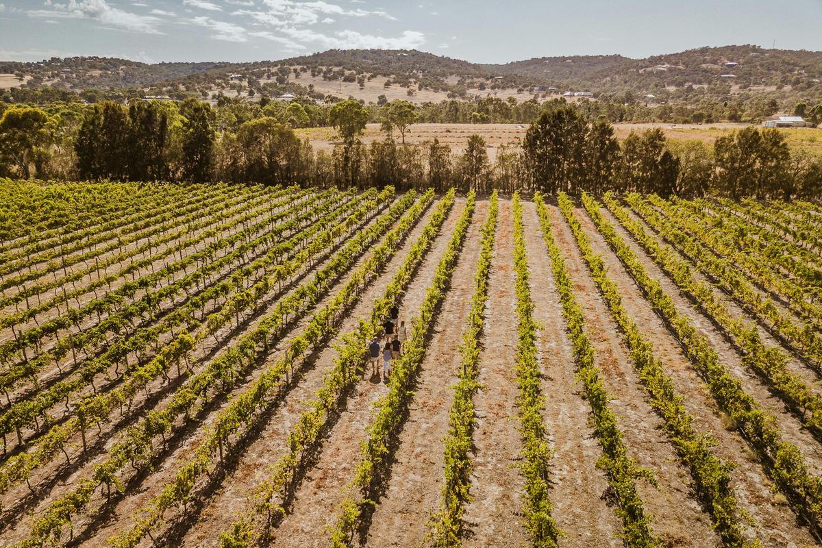 Private Tour - Swan Valley Premium Wine Tour