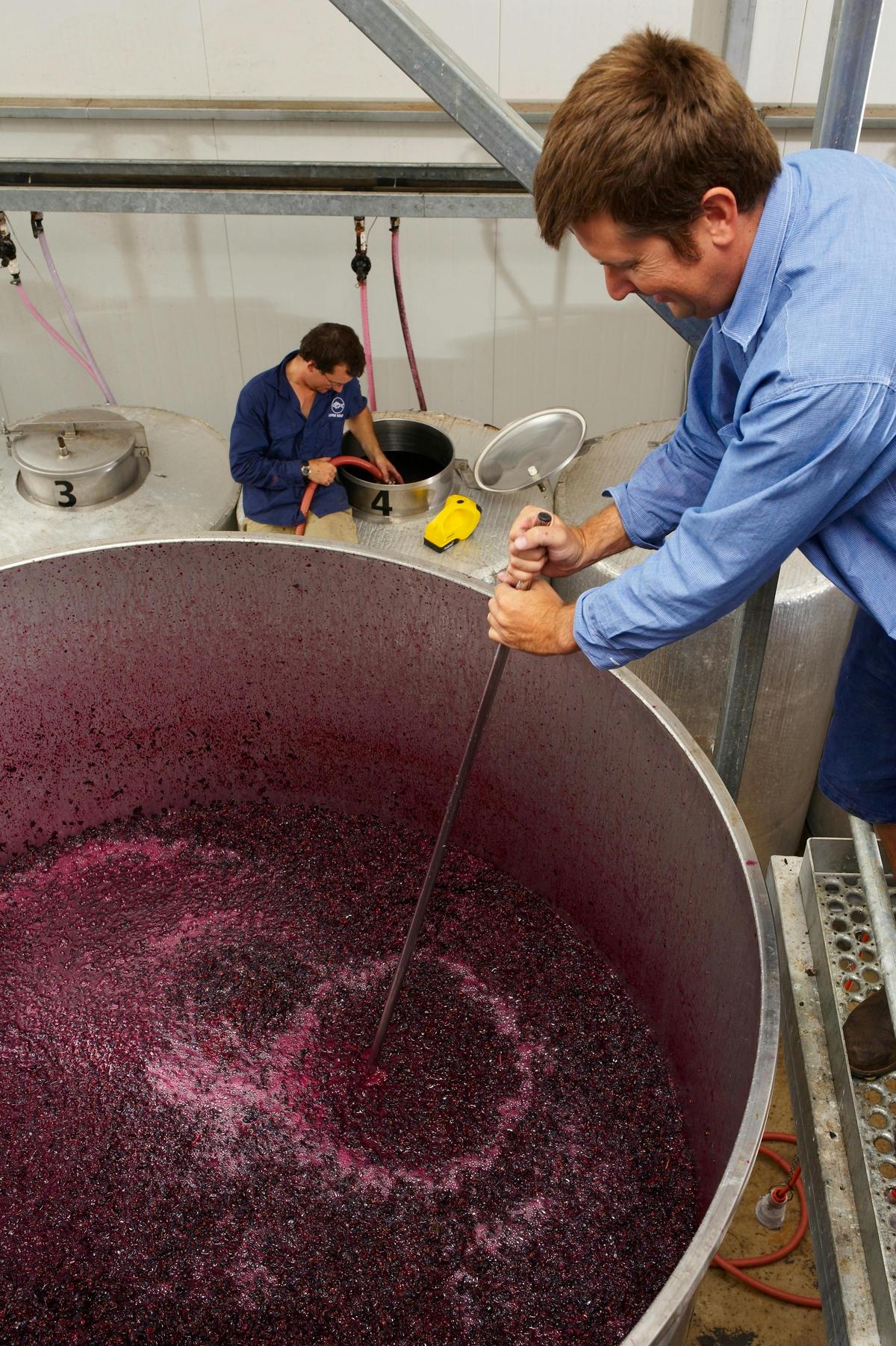Winery Tour and Tasting