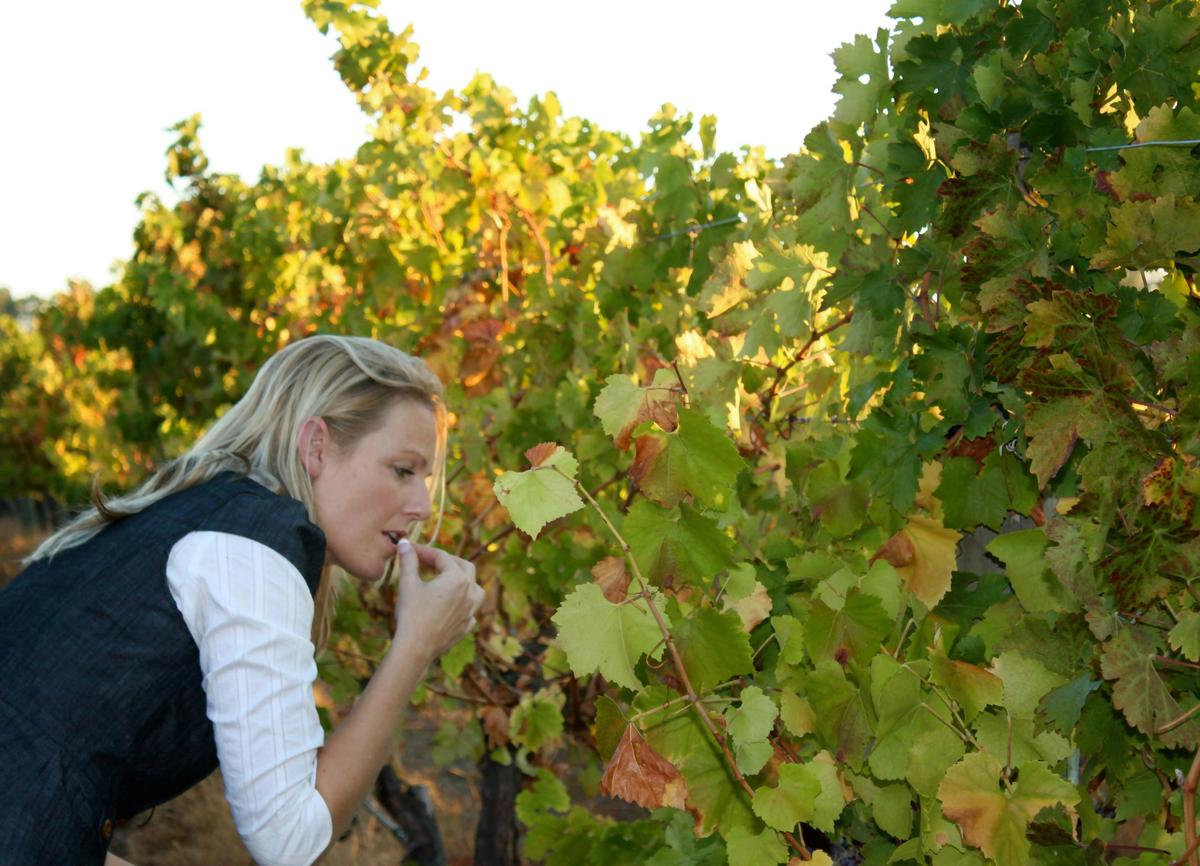 Two Course Lunch Winery Tour