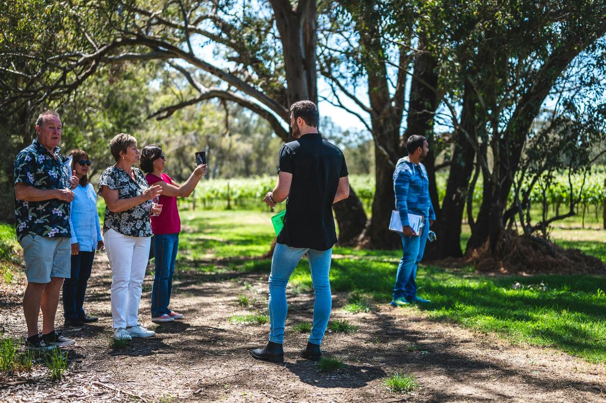 Walk the vineyard