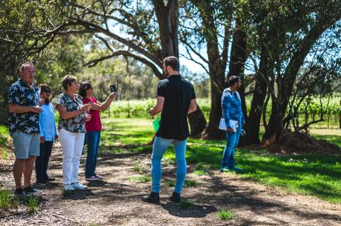 Two Course Lunch Winery Tour