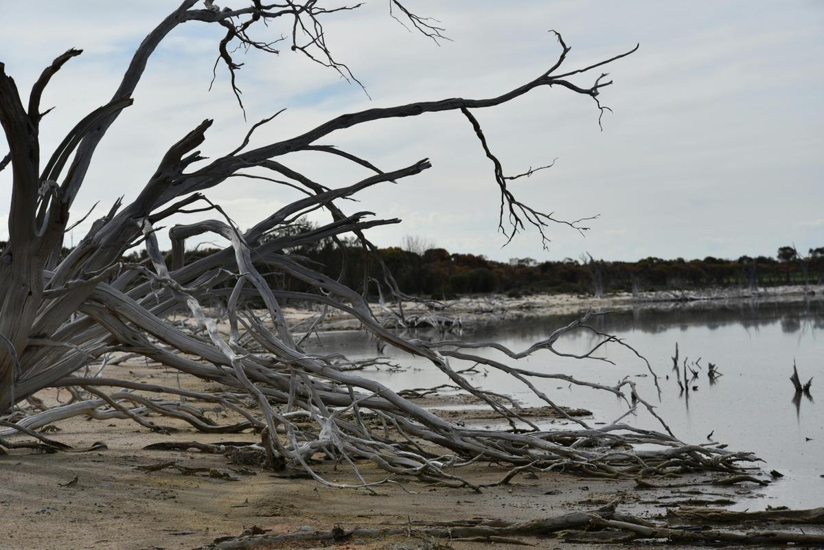 Yenyening Lakes