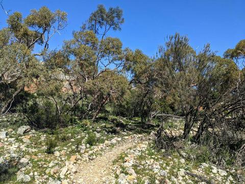 Watheroo National Park