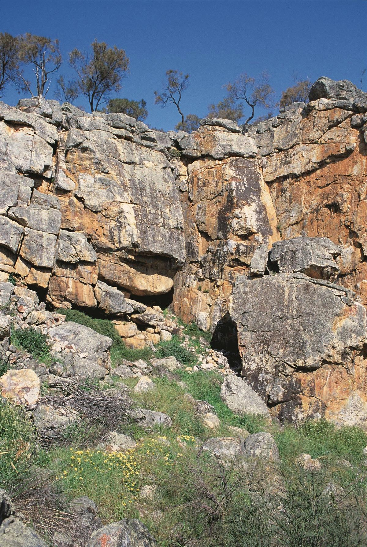 Watheroo National Park, Watheroo, Western Australia