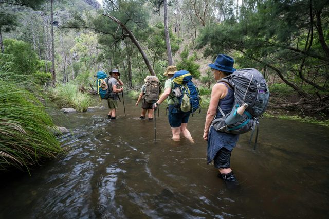 The Green Gully Track