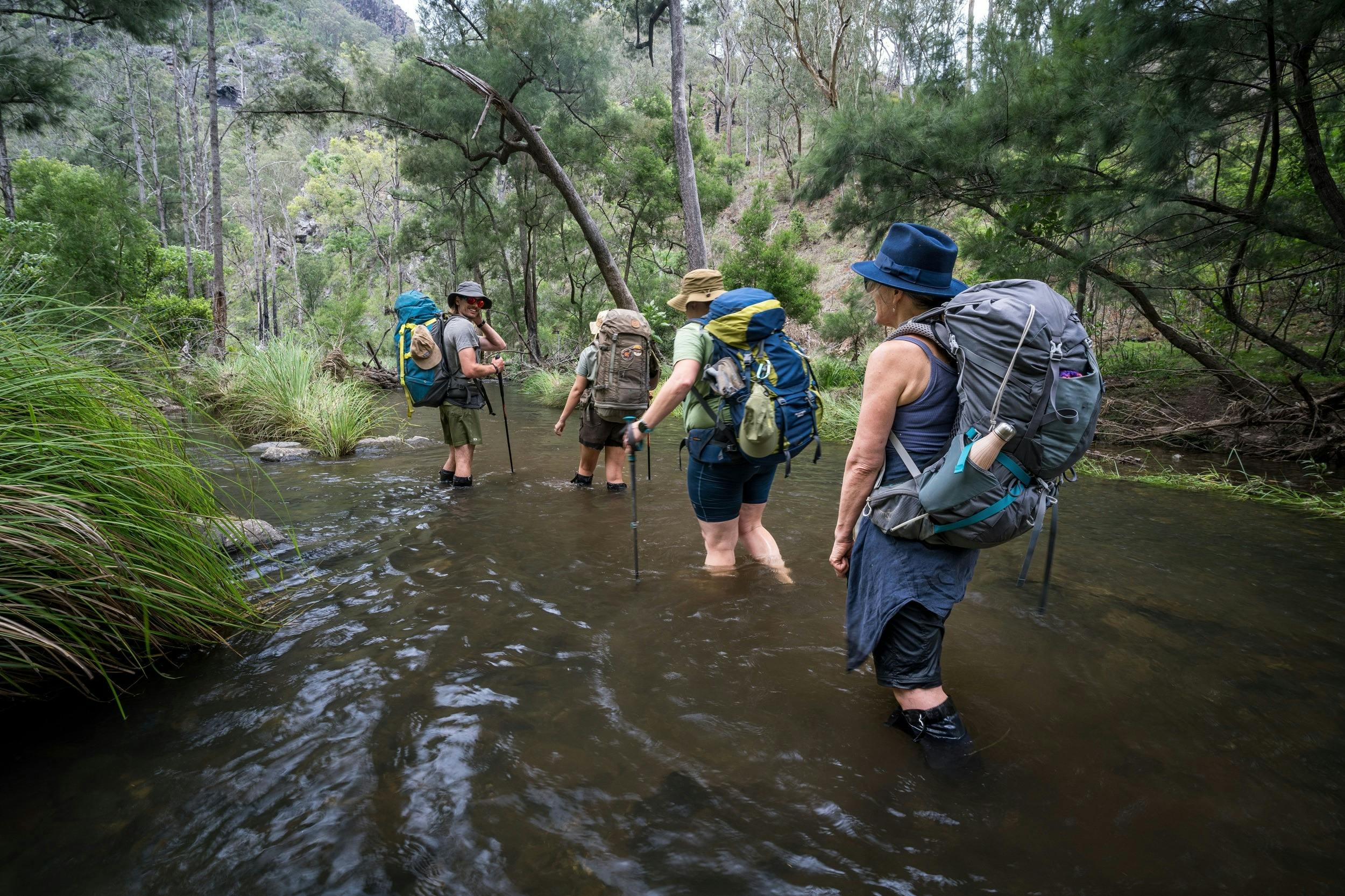 Green Gully Track