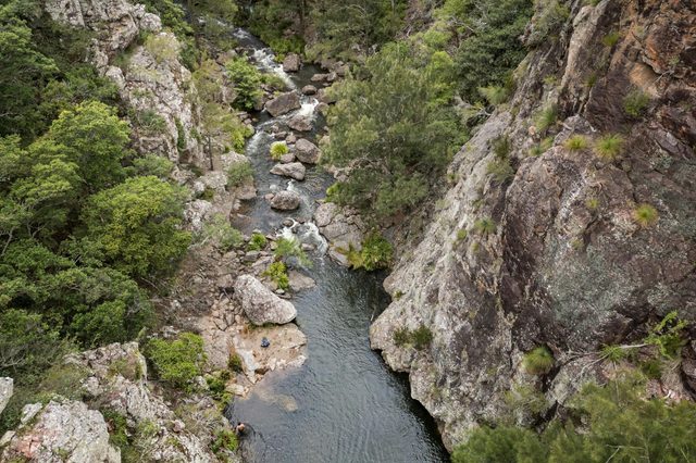 The Green Gully Track