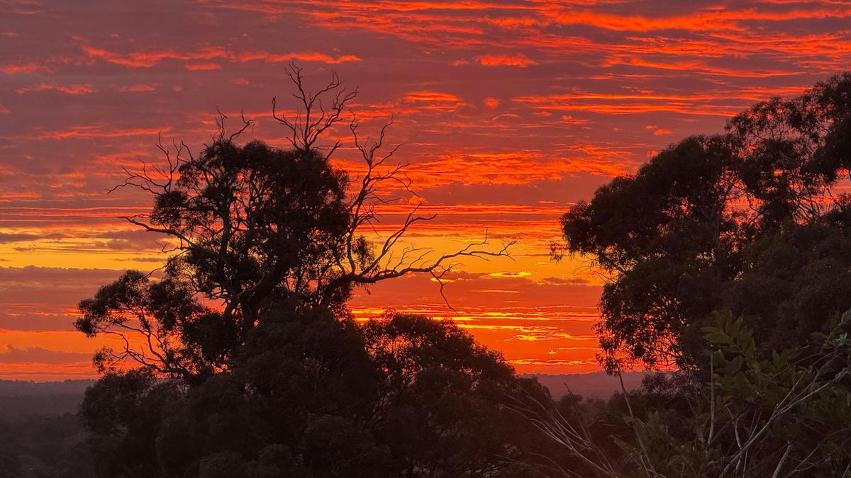 Yarrabah High Country