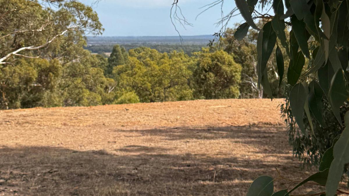 Yarrabah High Country
